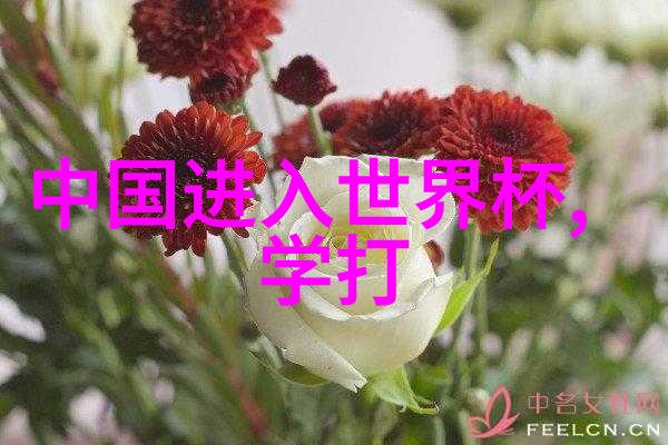 龙虎幽冥双节棍穿梭江湖的绝技之谜