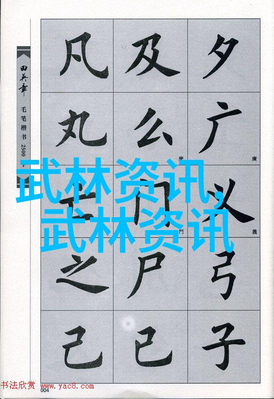 心灵锻炼与实战技能多面手的少年通过几种不同形式的小孩武技学习