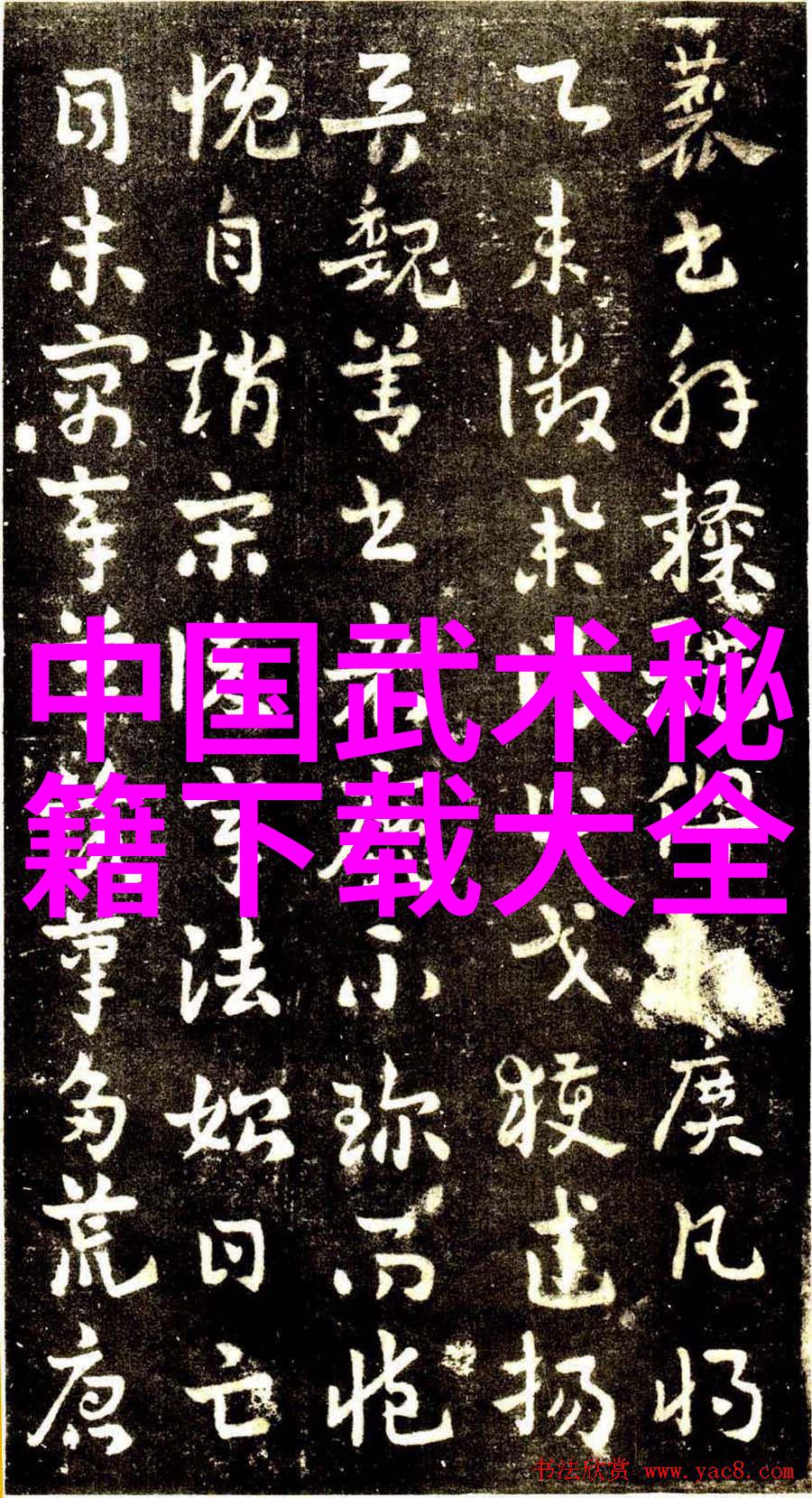 自主掌握八极拳之道探索自学路径的可能性与挑战