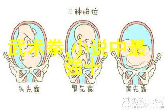 剽悍之刃探索刀门的武林秘密