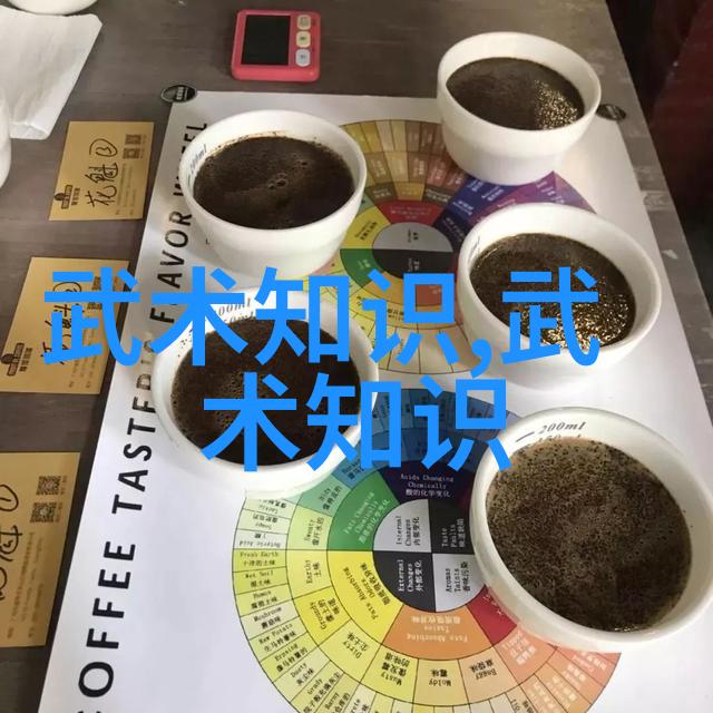 中国武术门派的瑰宝探秘全国各地的传统武学之源