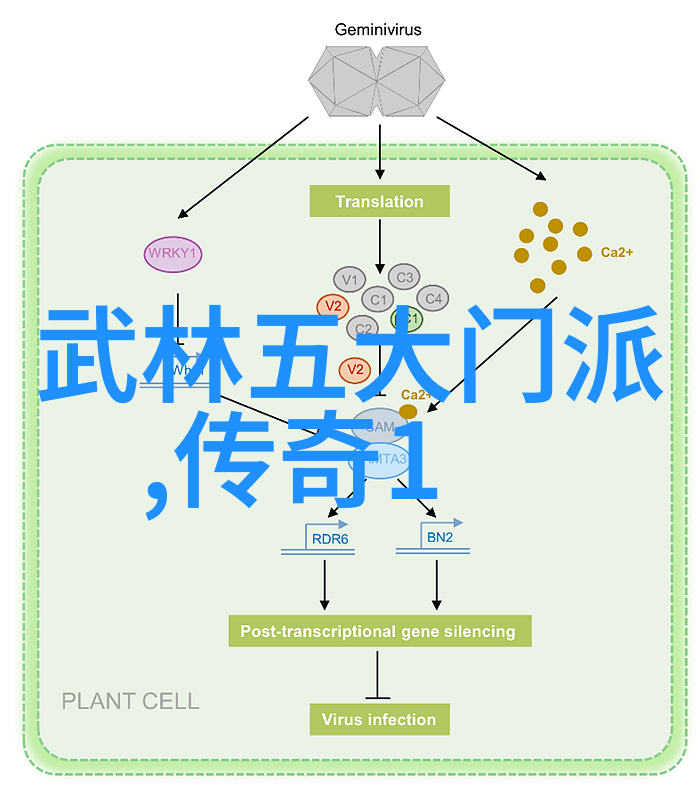 家族名传承翩翩起舞的仙气之源