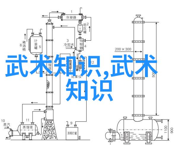 动漫男生坤坤放入女生身体内的奇幻冒险奇幻体验