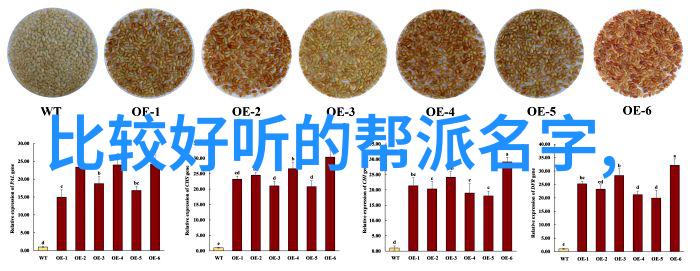 揭秘太极功夫内外兼修的古老武术