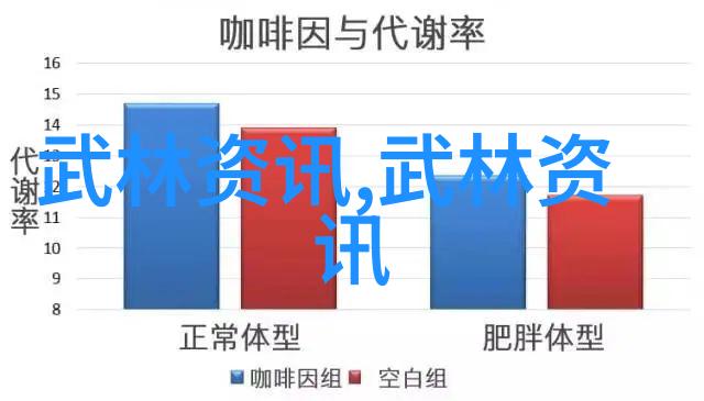 实战先行还是理论铺垫初学者面临的难题解析