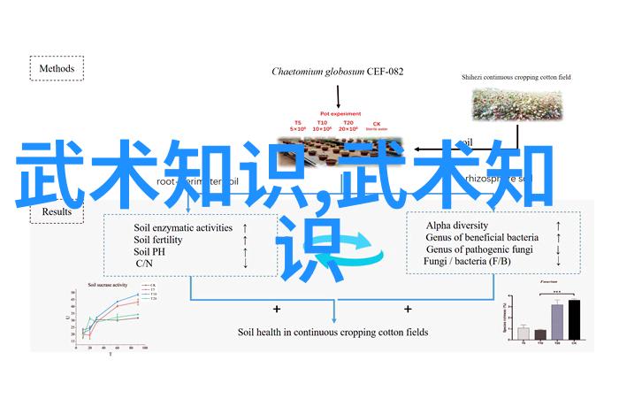 武林16大门派齐聚风云际遇新篇章