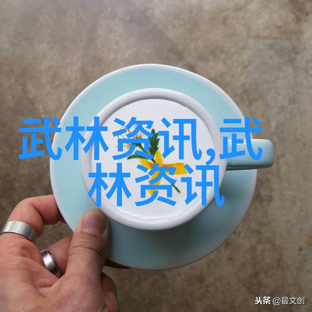 武林新人揭秘初学者必知的套路拳法秘诀