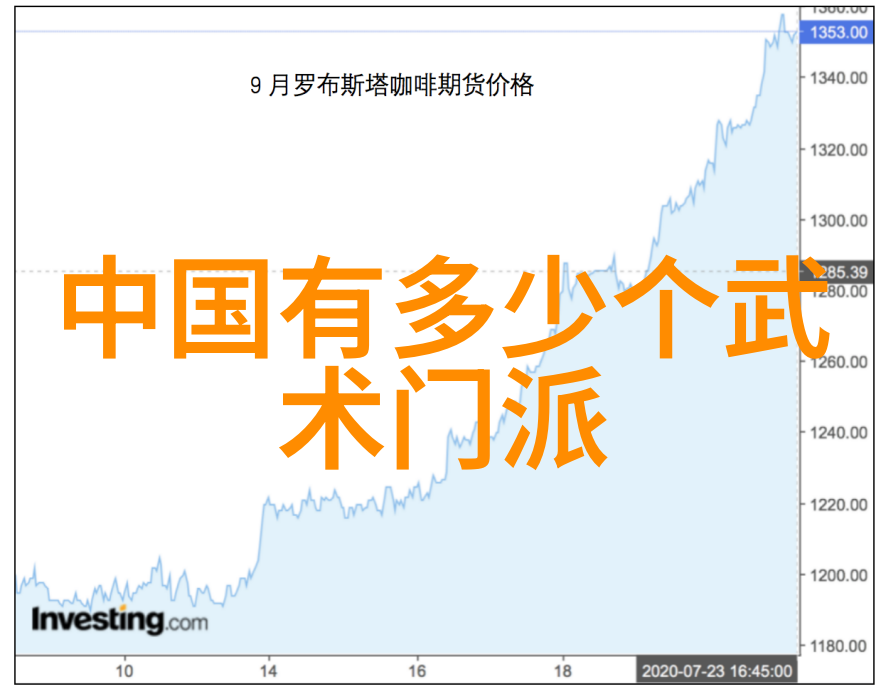 武当十五代传人寻踪天龙山的遗风与秘密