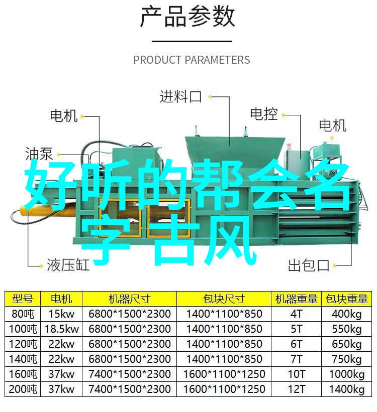 揭秘中国武术巅峰探究十大武术的技艺与魅力