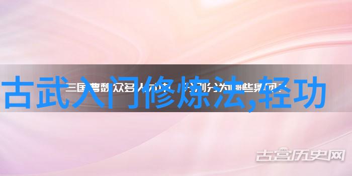 中国传统武术拳法我如何从一名菜鸟学员成长为精通太极的高手