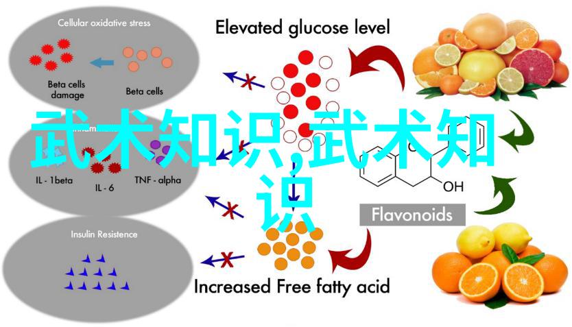 太极拳24式分解动作教学学会一招一式让身心悠然