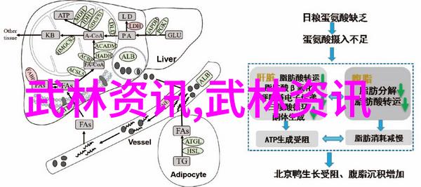 金庸小说中的武功名称尽在此处通背拳三绝腿实用技巧而江湖中流传的绝技也不胜枚举