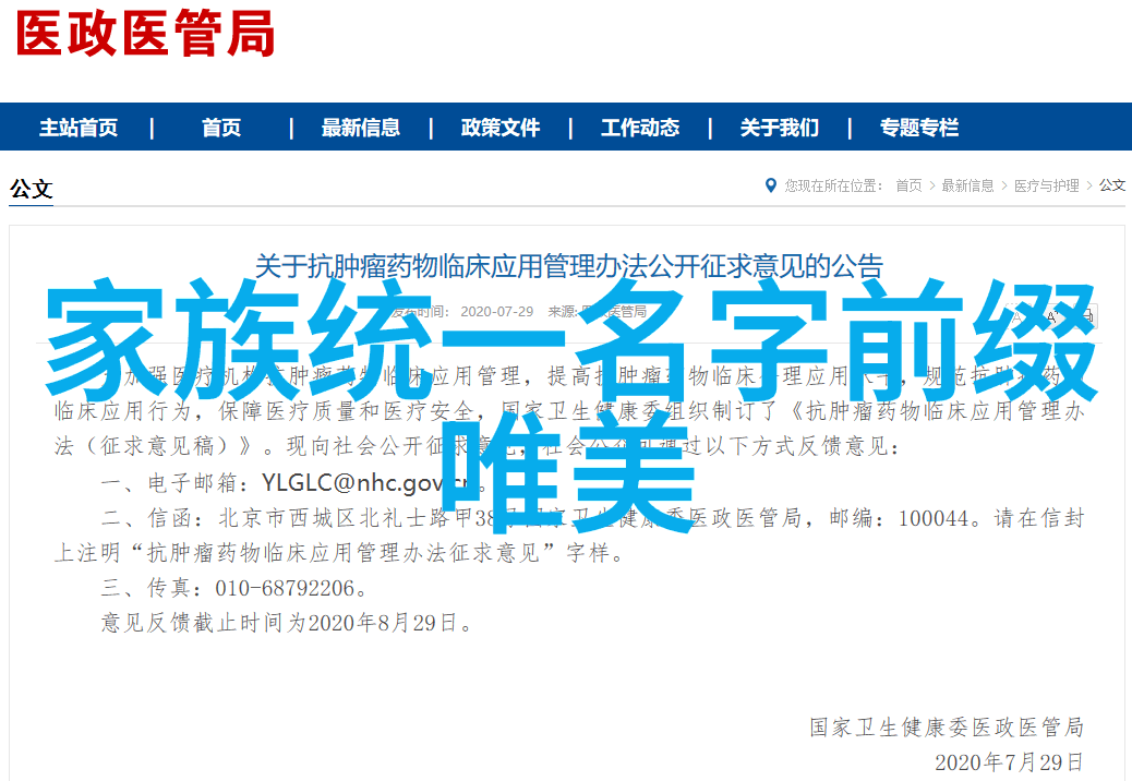 静谧古韵48式太极拳全套视频带口令倾泻繁华