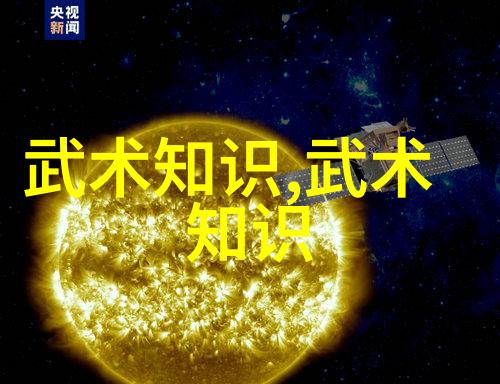 太极拳的双重面相深入解析24式正反两面的练习方法与技巧