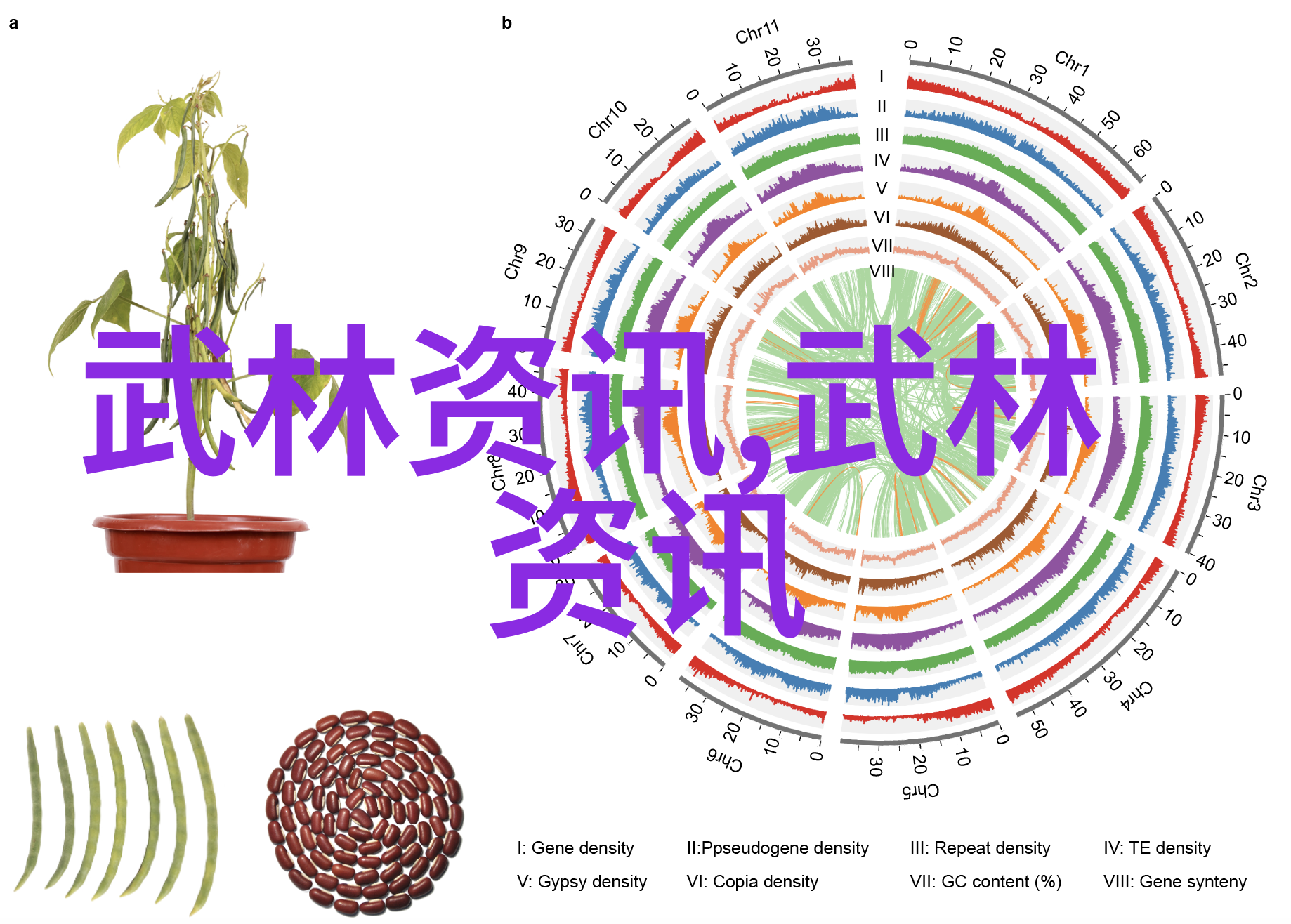 牙齿清洁新时代高效自清洁电动牙刷的奇迹