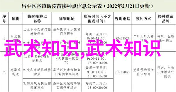 中国拳法有几种探索其深邃的文化底蕴和精湛技艺