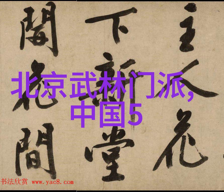 从太极到少林从架势到招式探究不同地区的古武功路线图