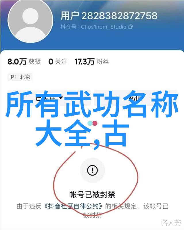 禁用武术的网站揭秘武断规则与隐含的道德考量