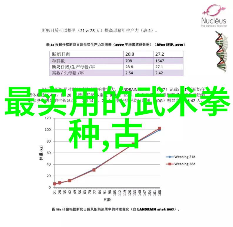 昆仑太极门上古八大仙境的社会融合之道