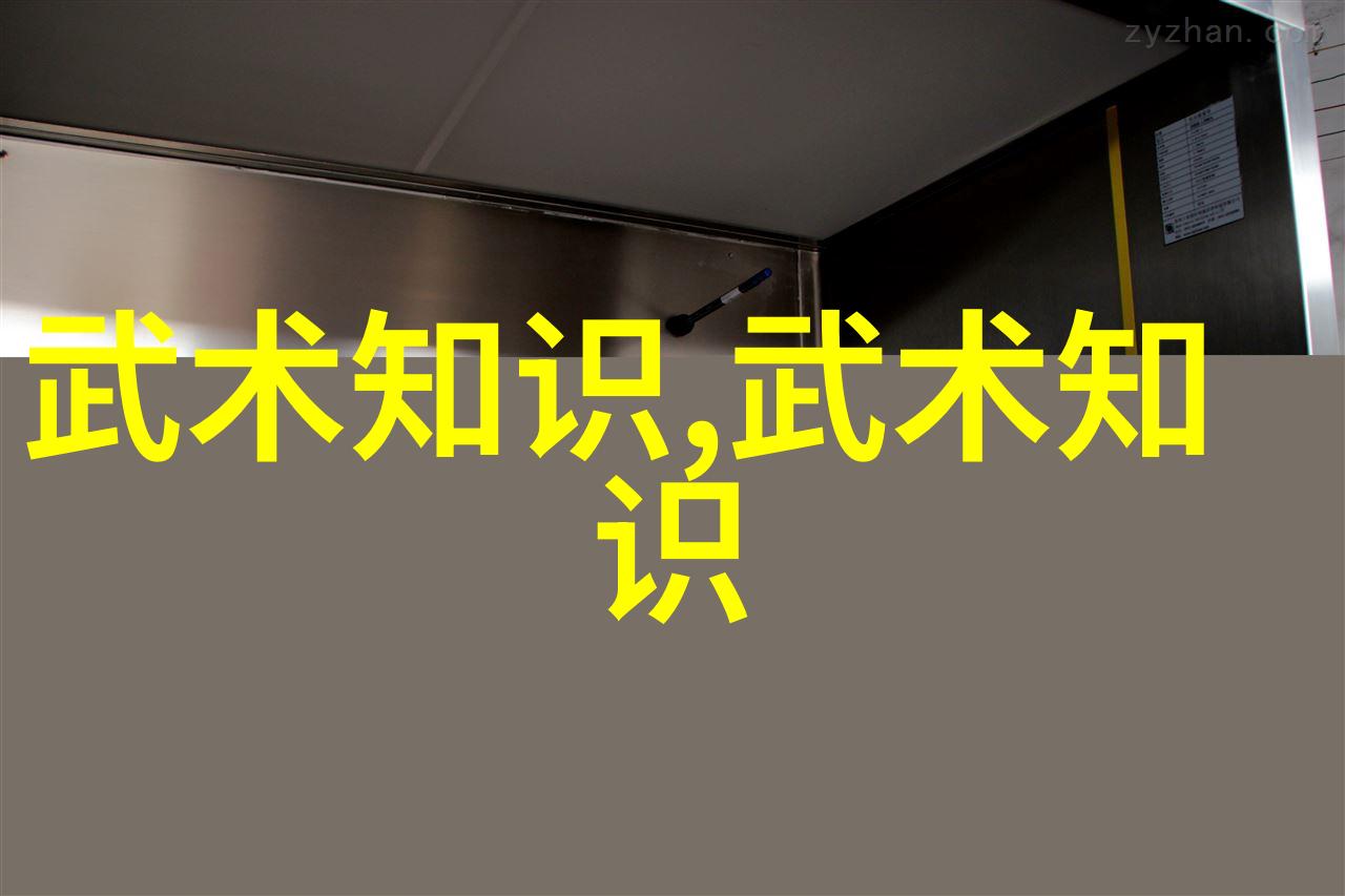 武当松溪神意派内家拳仙盟古风之韵