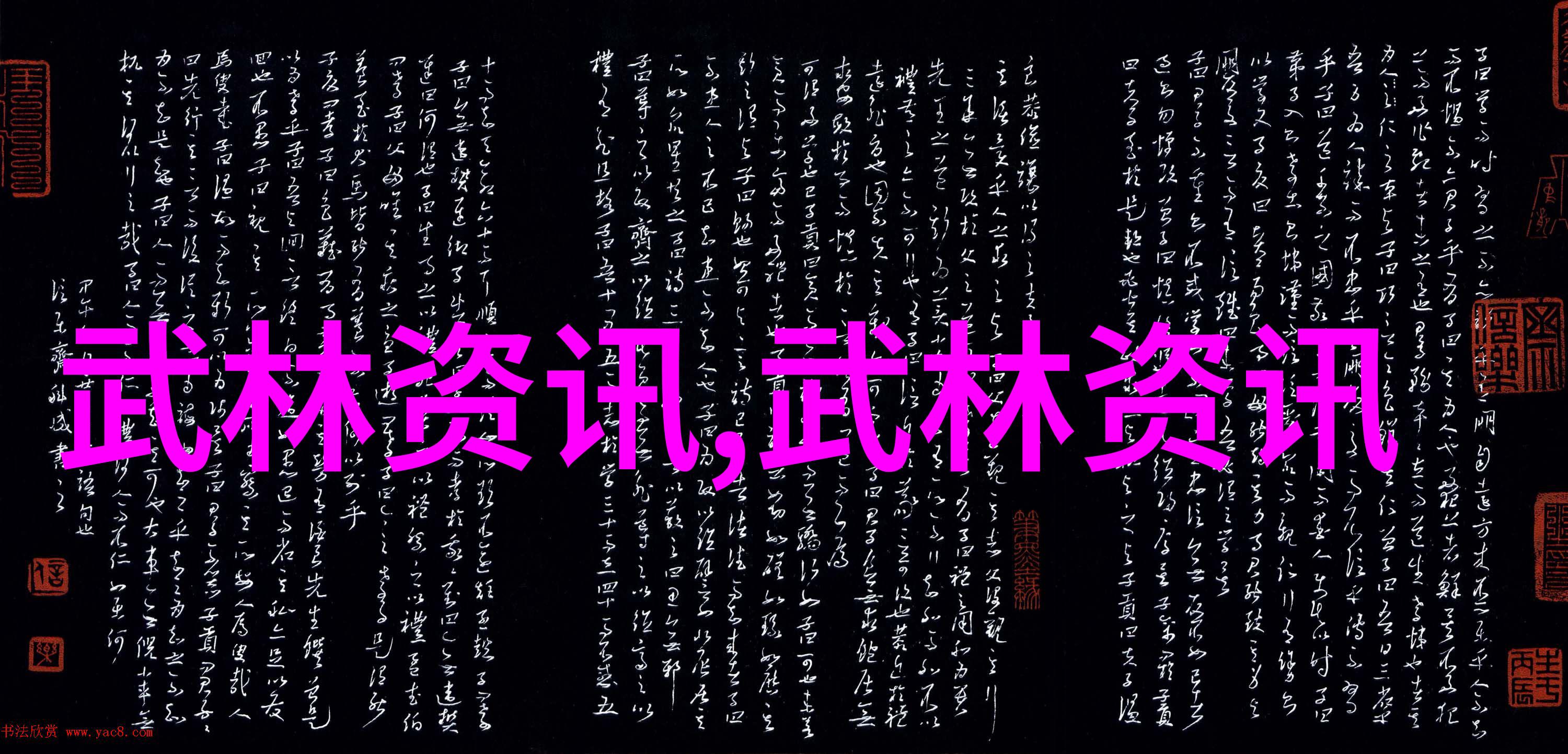 诗意武林何氏弹腿公会主播的独门绝技