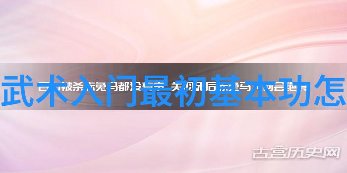 打造完美架势武功自学中的舞蹈元素探讨