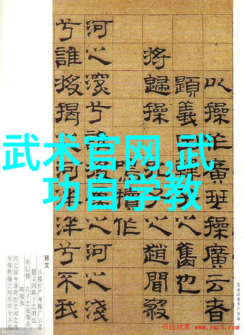 中国拳法有几种我跟你说说这几套中国拳法你可能不太熟悉的