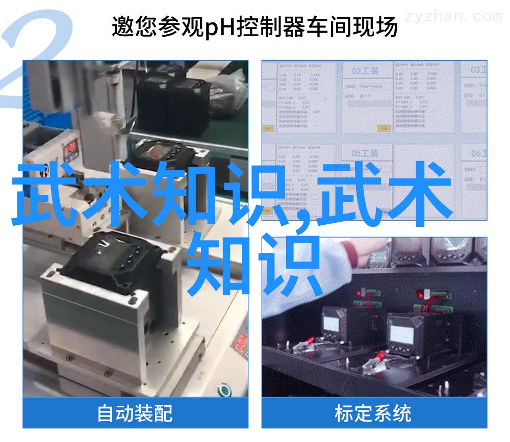 武术知识我是如何掌握一手好功夫的