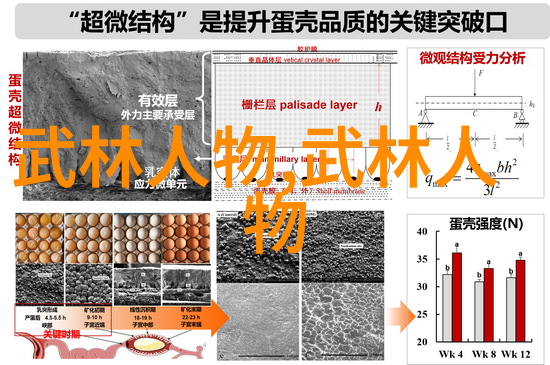 家中武学秘籍三皇拳技传承记