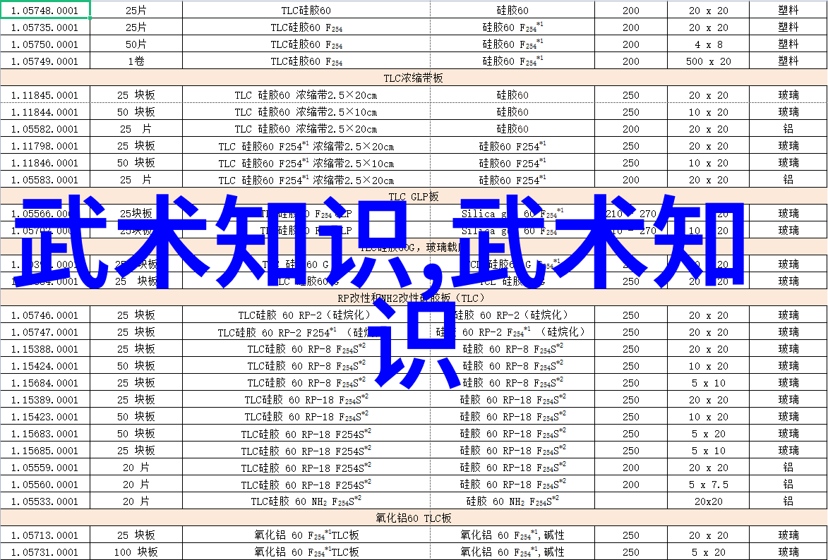 福建省顺昌县第三届陈式心意混元太极拳演练大会之感悟-郭素萍在社会大舞台上融入中国十大剑法的魅力