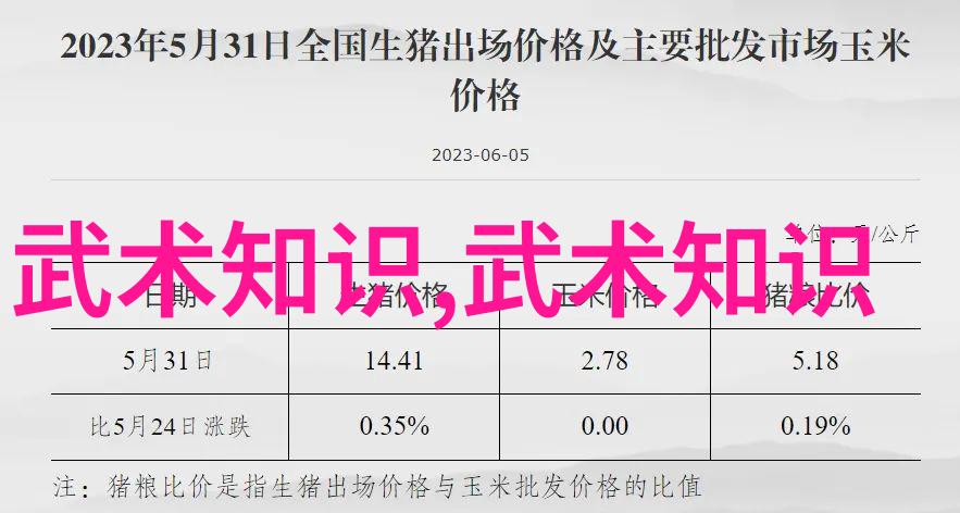 中国武术的丰富多彩从五大门派到流派众多