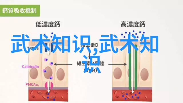 武体育疗对心理健康有何益处我们可以通过什么方式来体验这份力量呢