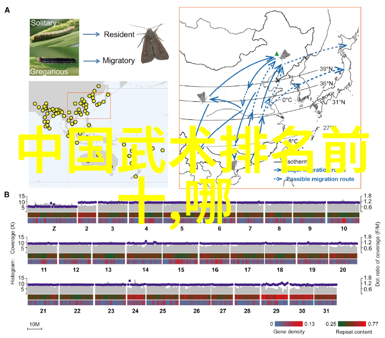 污水女神流淌的羞耻与隐秘