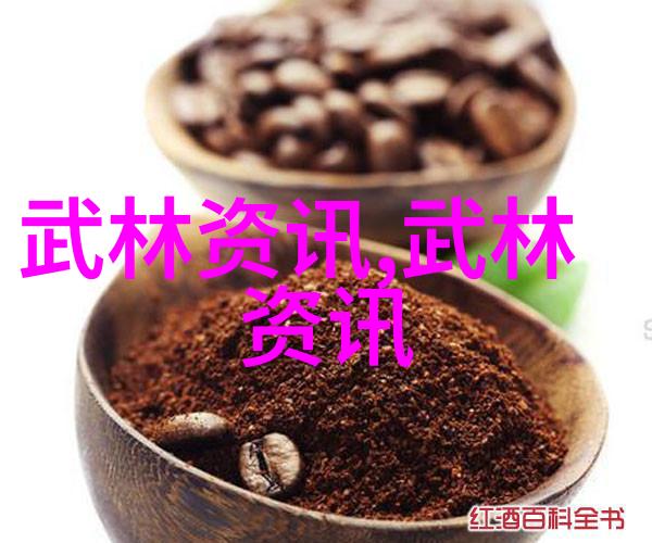 武林中的门派-揭秘江湖武林中各大门派的传统与风范