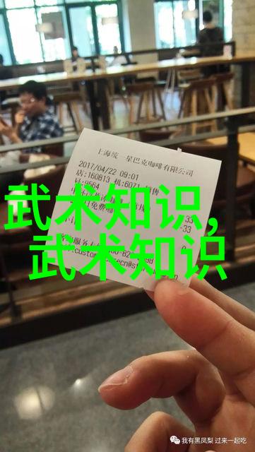 在这四字高雅不俗的游戏名中门派拳种大名府内家拳又该如何打造