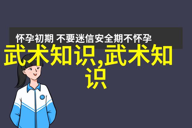 中国武功-精通中华武术系统训练与实战技巧