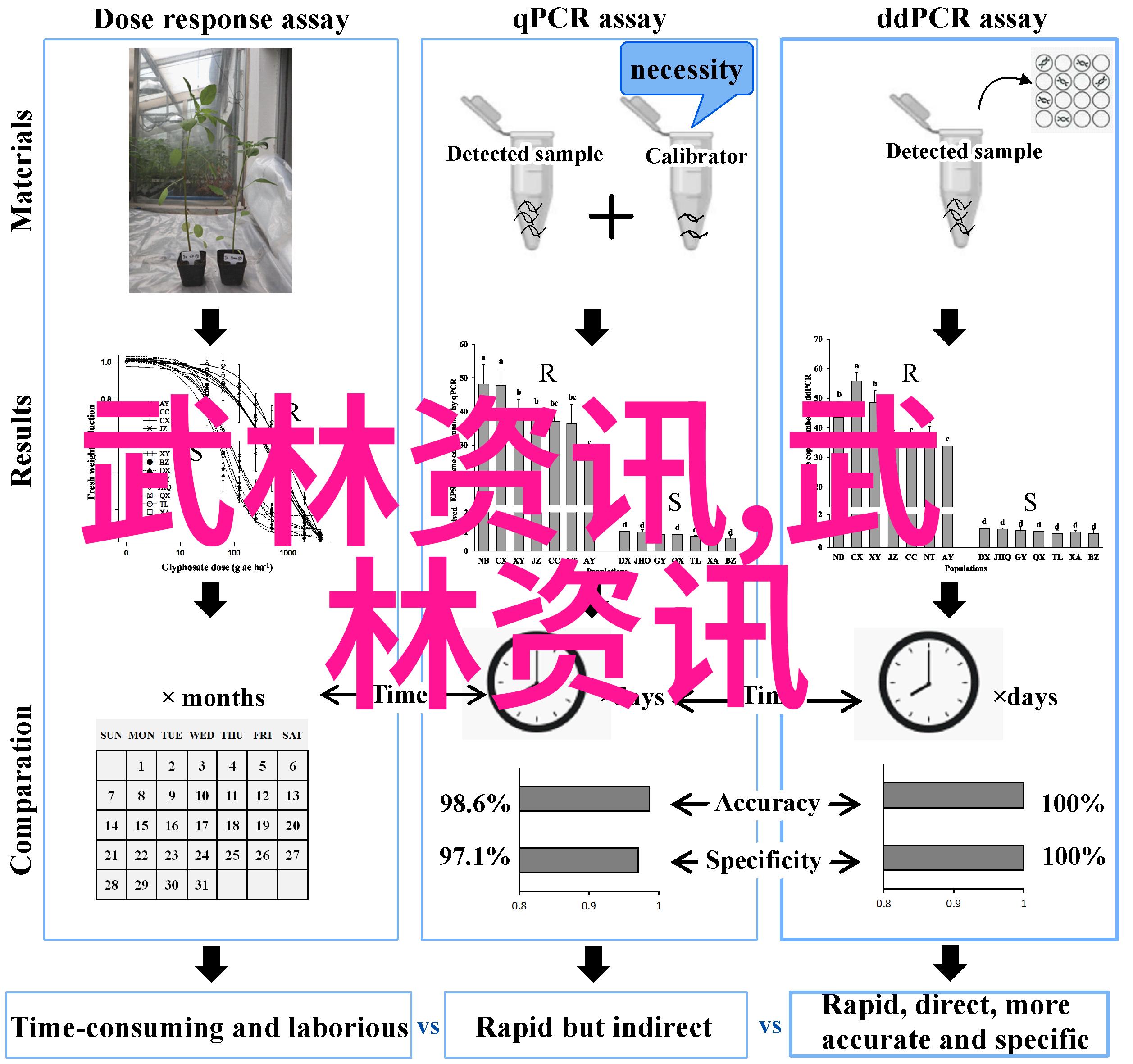 搞笑逗比的帮派名字大全云魔门让你捧腹连连笑