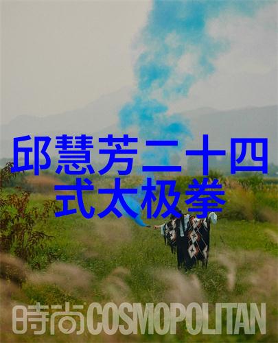 武林秘籍现世如何选择合适的武功自学教学视频