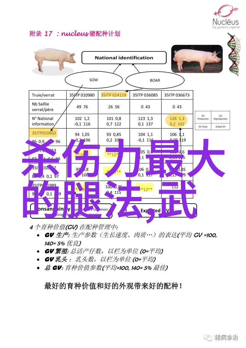 武当太极与少林拳法两大名门谁能夺冠