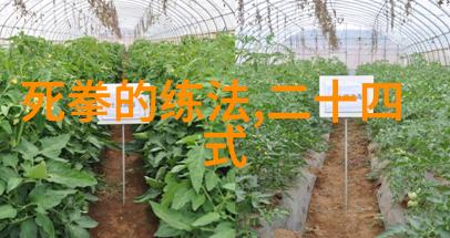 太极拳学习-32式太极拳拳谱全套分解探索内在力量的艺术