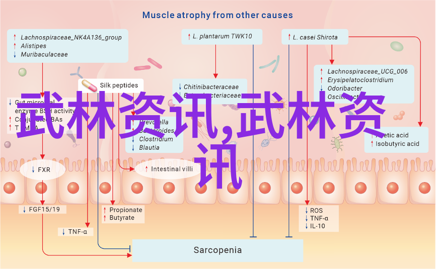 门派拳种女生帮派名策权威指南