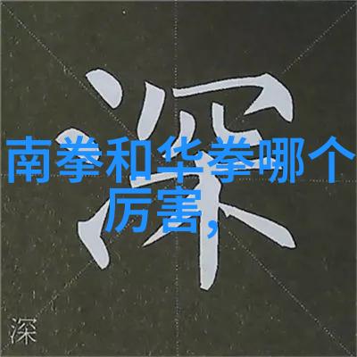 江苏武林秘籍功力拳江南门派绝学