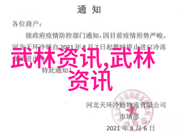 中国十大最强武术中的佼佼者玉门氏武道如同山巅之鹰翱翔于拳艺的天空