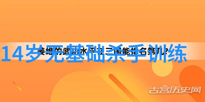 道法自然探讨屠龍記門派間的心靈共鳴與差異