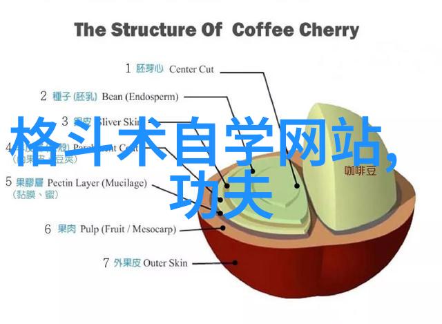 武林资讯全息揭秘江湖内幕与精彩活动