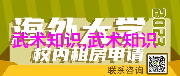 关锡华指南少儿初学太极拳散打技巧