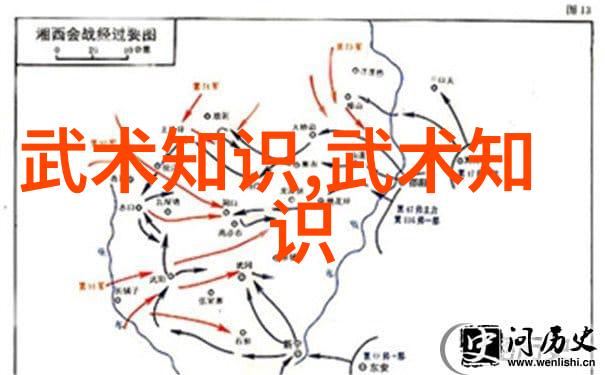 太极拳学习-精通48式太极拳全套视频带口令轻松掌握传统武术