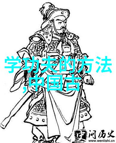 中国武术门派考察探索58个传统功夫的历史演变与文化内涵