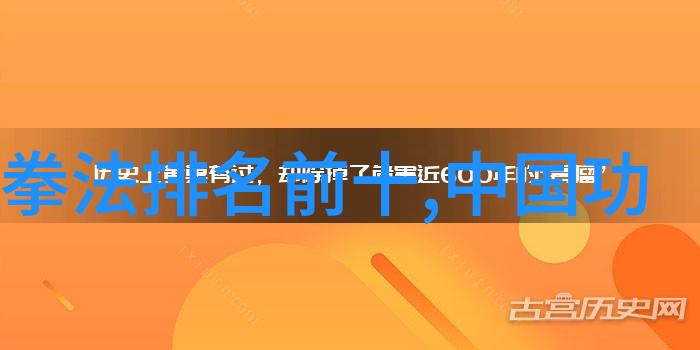 掌握基本技巧入门功夫大全的必备知识