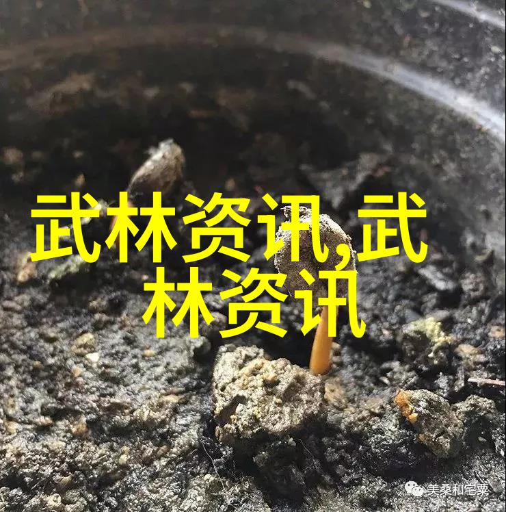 太极拳24式名称顺序图解咱来一遍从头到尾